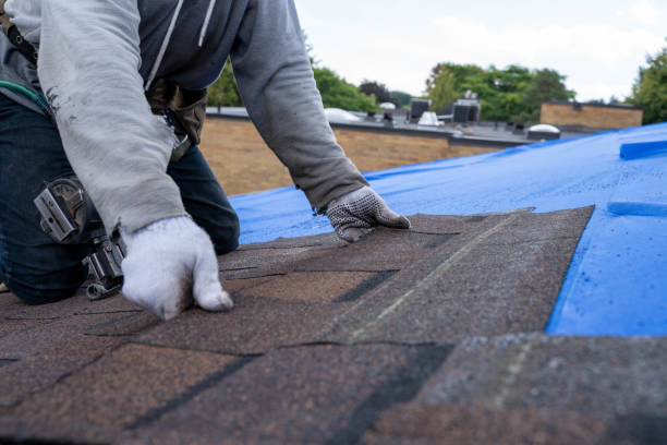 Best Commercial Roofing Services  in Ketchikan, AK