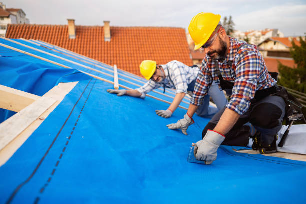 Best Flat Roof Repair Services  in Ketchikan, AK