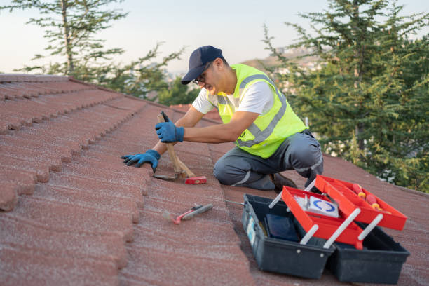Best Residential Roofing Contractor  in Ketchikan, AK