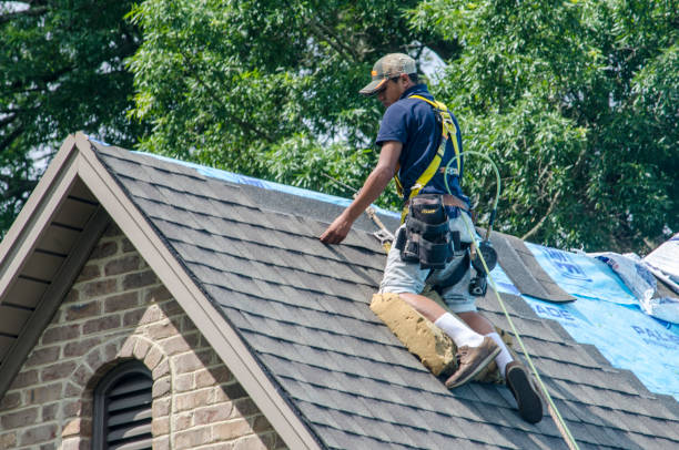 Best Roof Restoration Services  in Ketchikan, AK